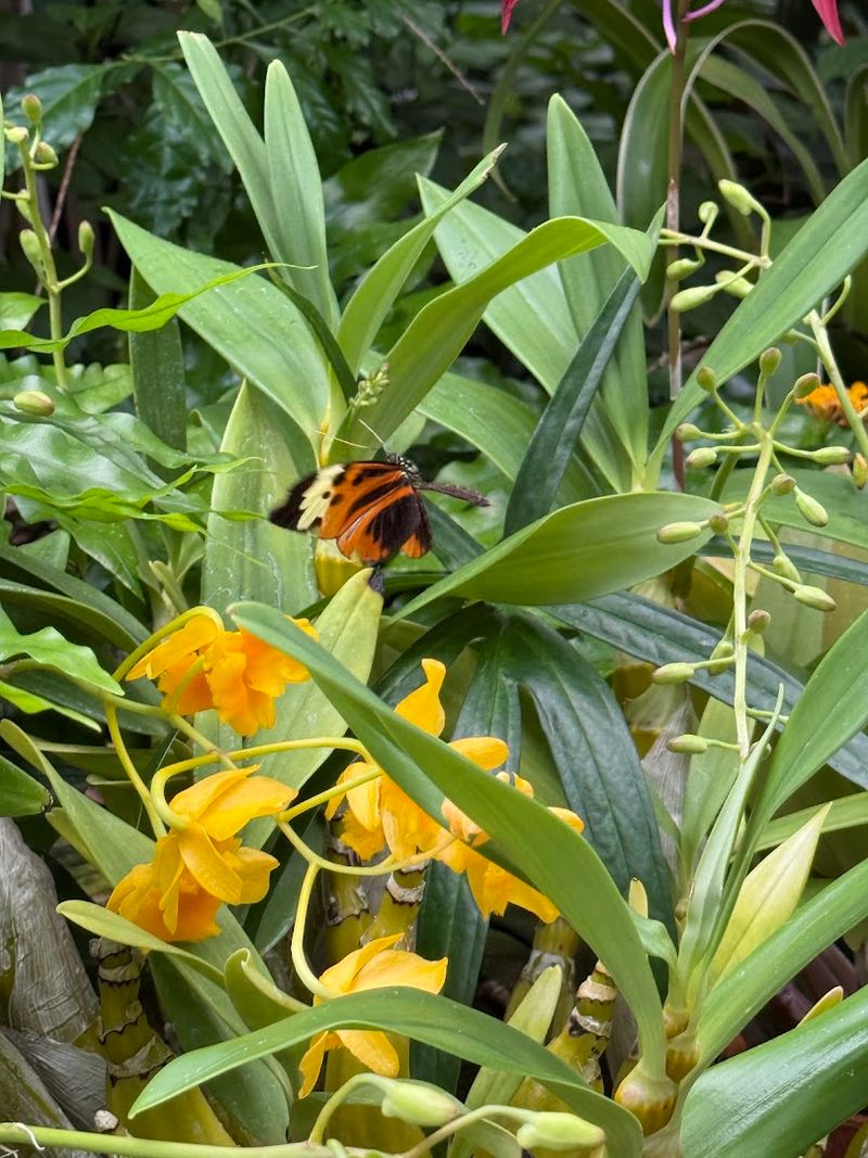 Frederik Meijer Gardens & Sculpture Park, Grand Rapids