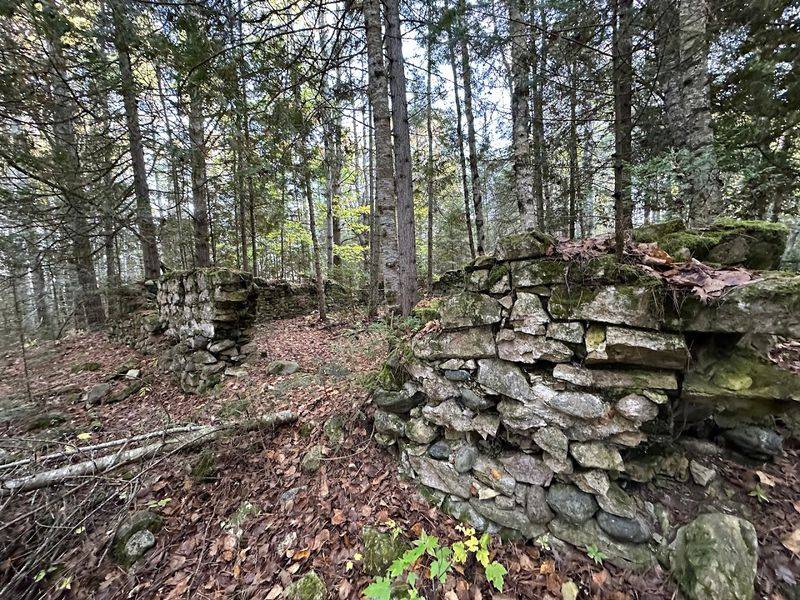 Cheboygan State Park, Cheboygan