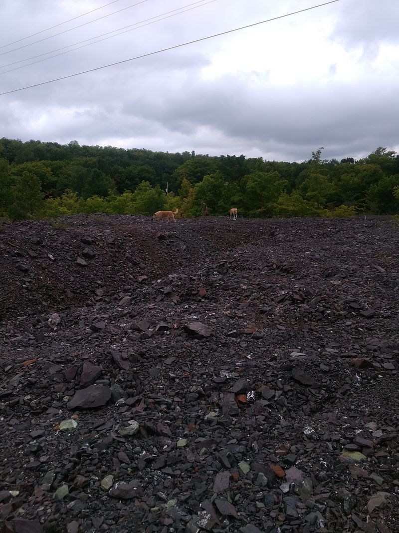 Baltic — Houghton County, Michigan (Upper Peninsula)