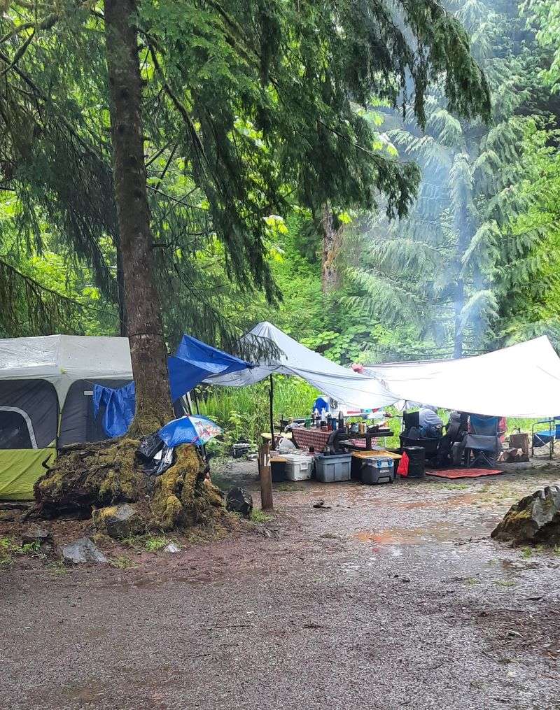 Porter Creek Campground, Elma, WA