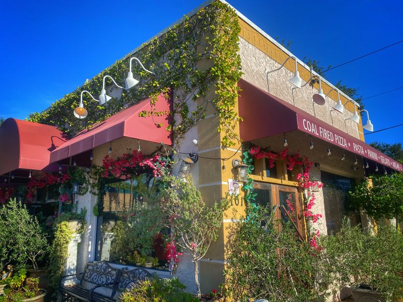 Verdant Patio Dining Experience