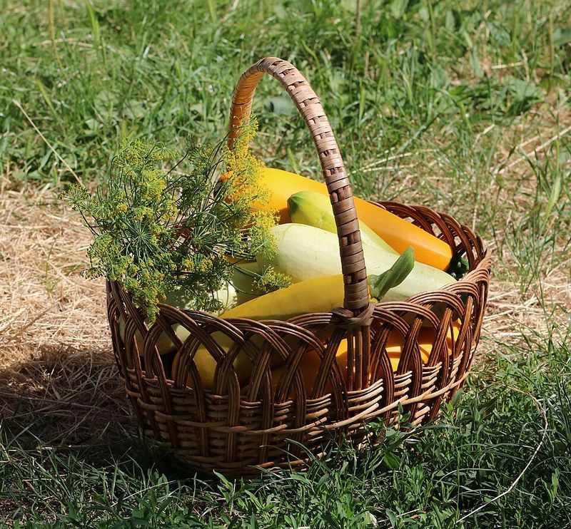 Calabacitas With Traditional Sides