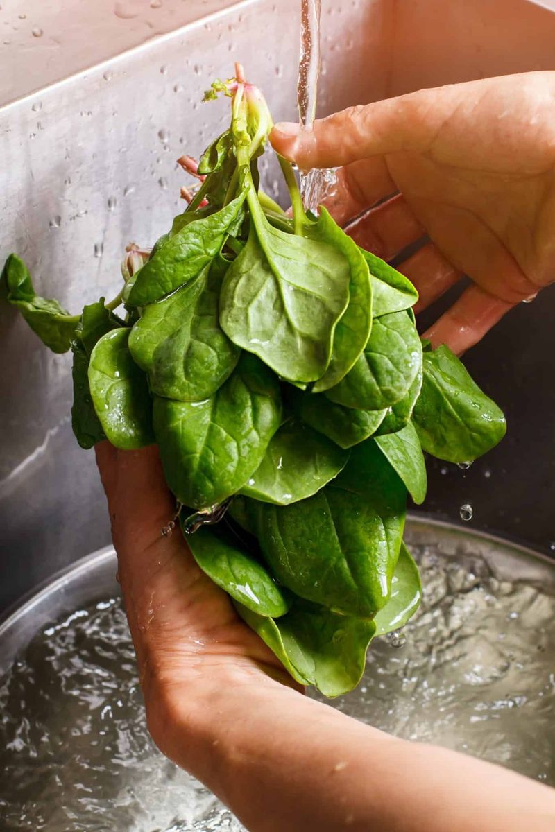 Spinach: The Leafy Green With A Chemical Problem