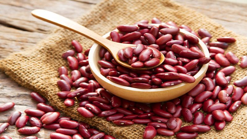 Raw Kidney Bean Danger