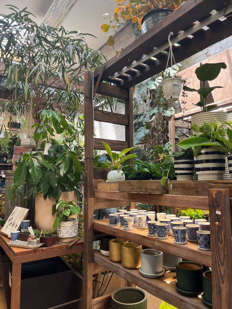 Pots Big Enough For Trees And Small Enough For Succulents Pots Big Enough For Trees And Small Enough For Succulents