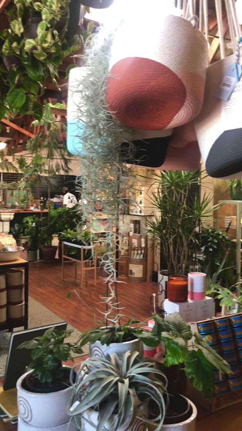 Custom Terrariums And Hands-On Plant Experiences