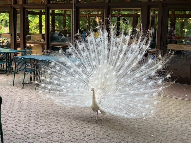 14 Amazing Aquariums And Animal Attractions To Explore In Michigan
