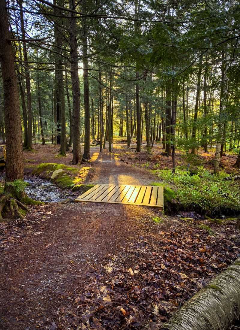 Powder House Hill Trails, Farmington