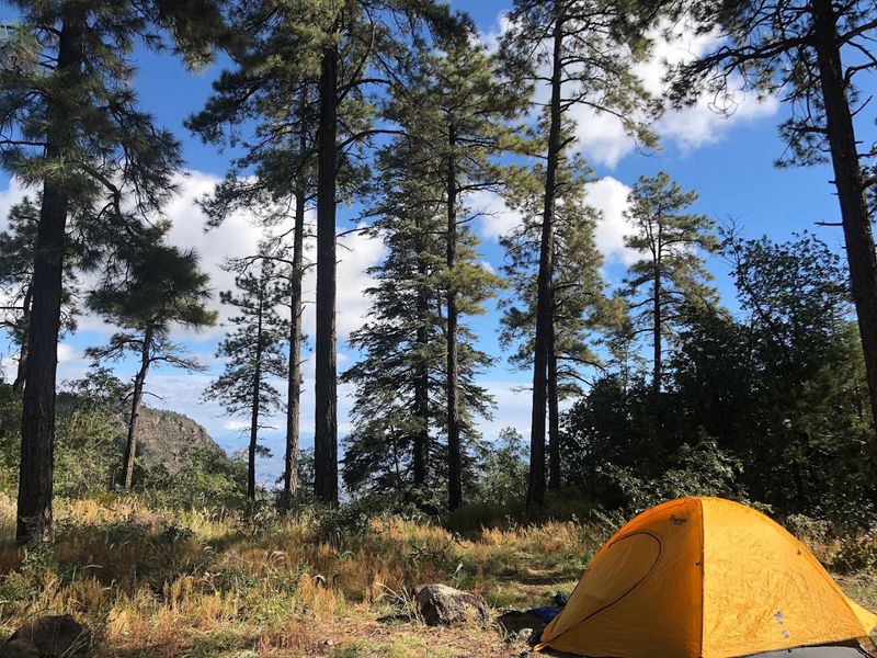Mingus Mountain Campground, Prescott National Forest