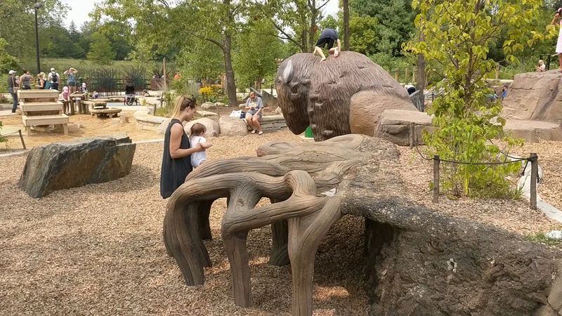 The Best Age Range For A Visit