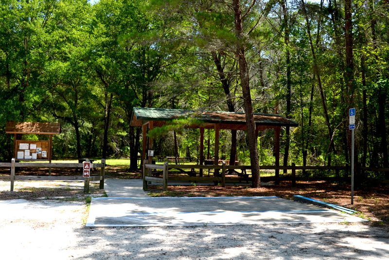 Accessibility And Going At Your Own Pace