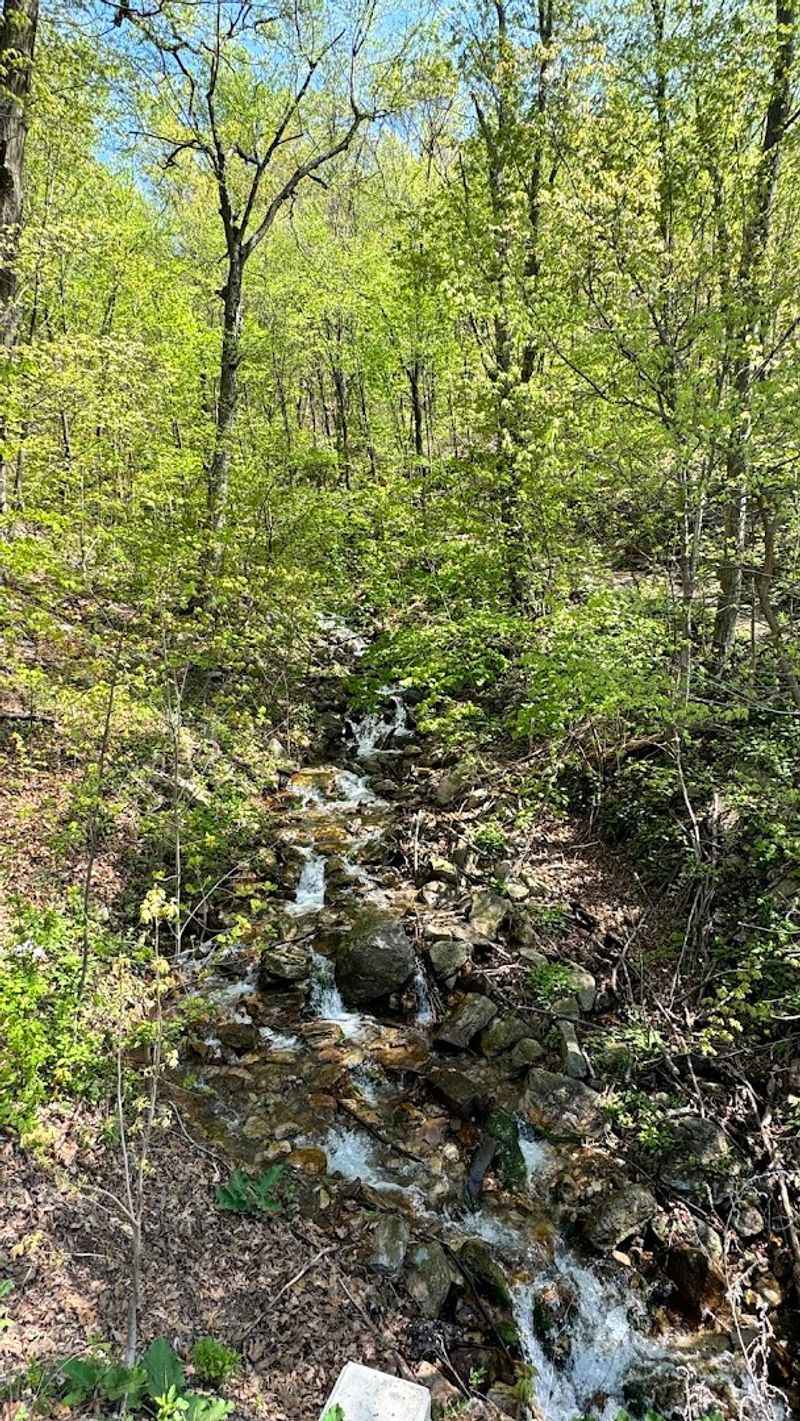 When To Visit For The Best Experience