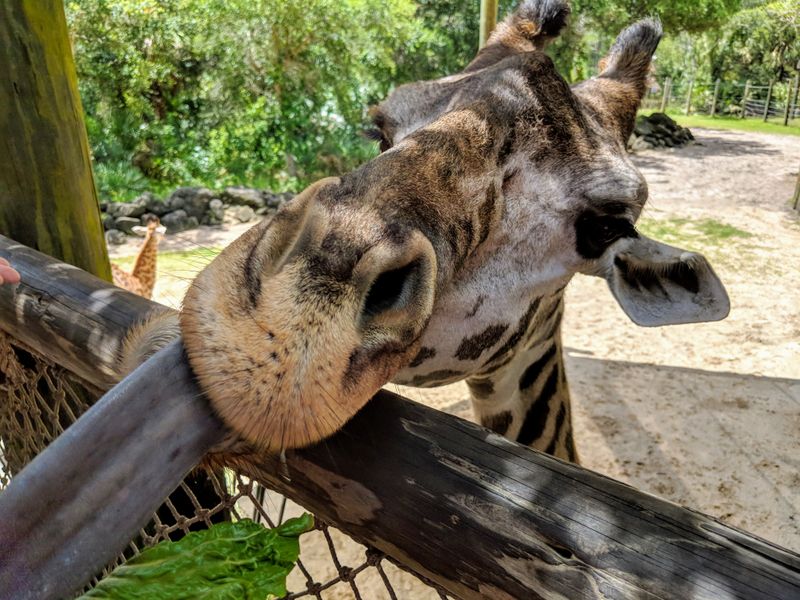 Conservation Stories You Can Feel