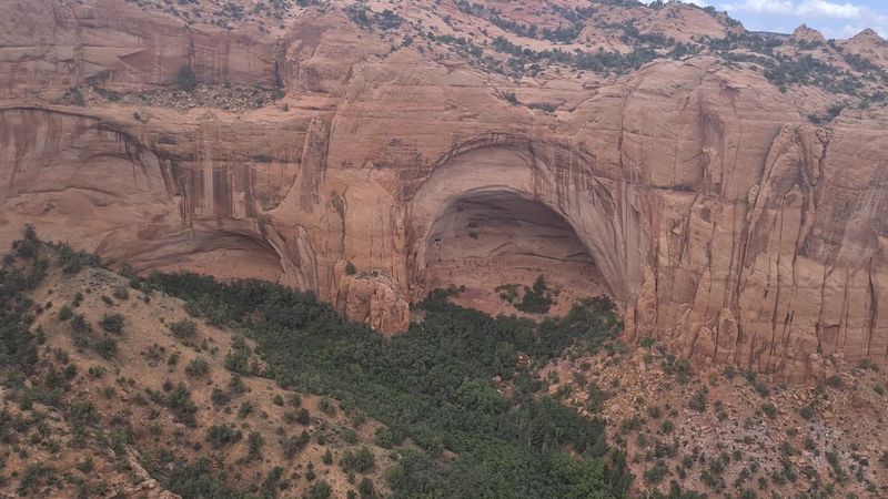 Practical Notes for Planning Your Visit