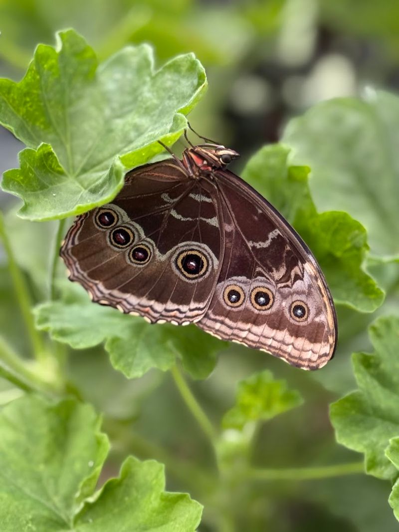 Kid-Friendly Safety And Comfort