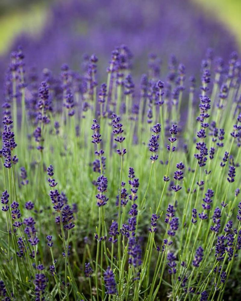 Why This Place Stays With You