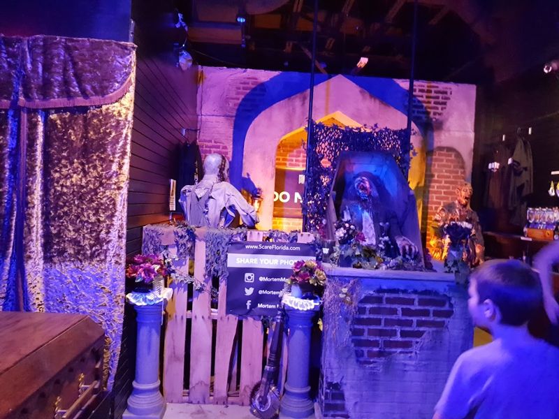 Practical Tips Before You Plan Your Visit