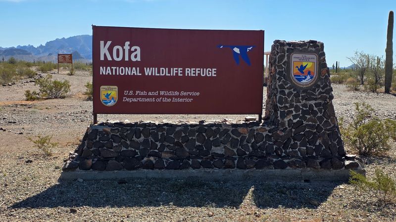 The Best Time Of Year To Make The Trip