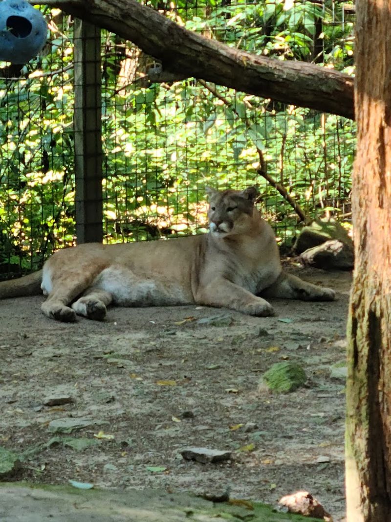 Pricing, Snacks, And The Gift Shop Situation