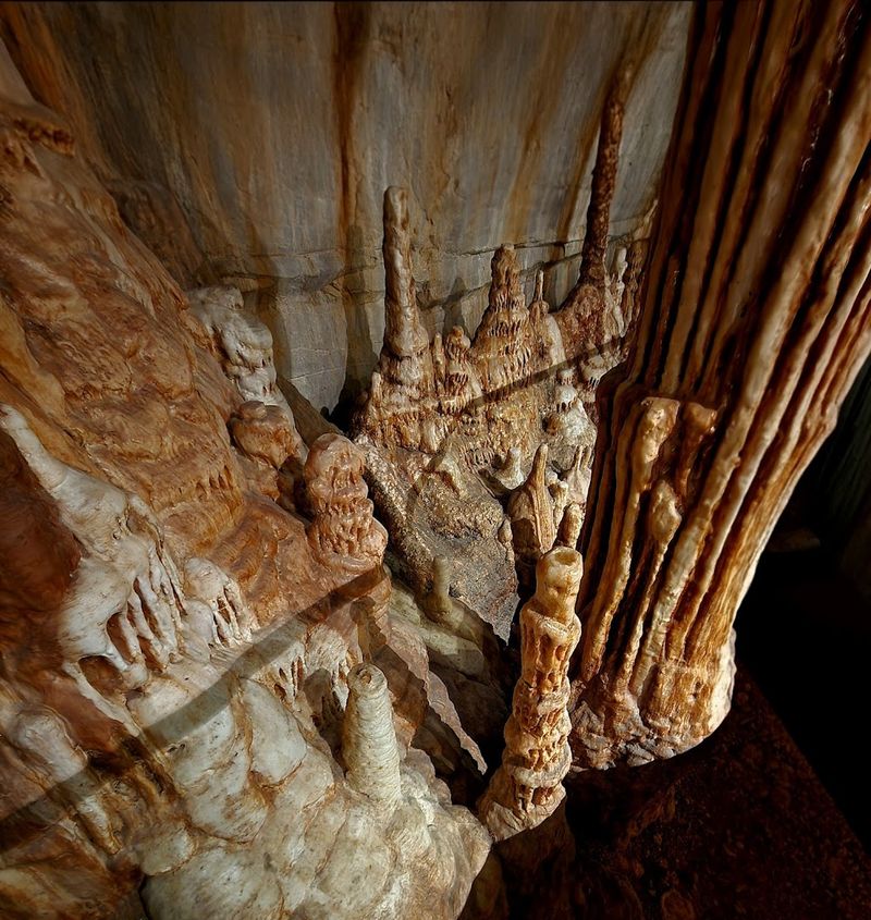 Why Spring Timing Makes All the Difference