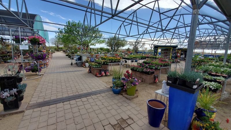 Practical Tips For Planning Your Civano Visit Practical Tips For Planning Your Civano Visit