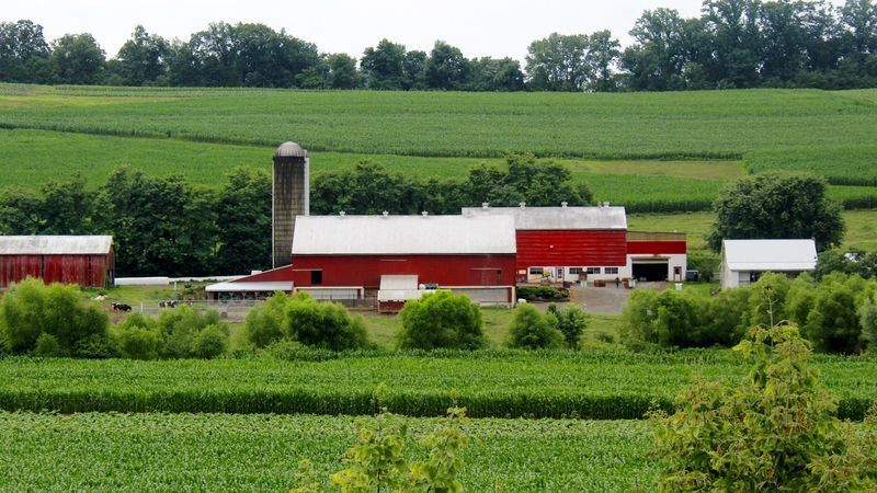 Why Intercourse, Pennsylvania Stays With You Long After You Leave