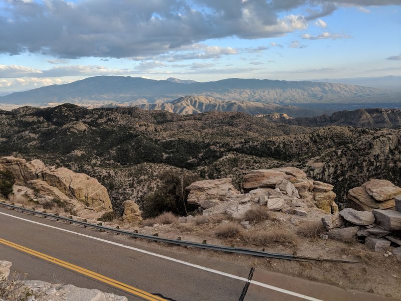 Wildlife Watching On The Byway: Creatures You Won't Find Anywhere Else