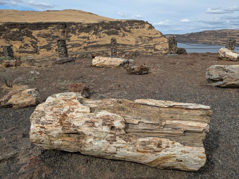 Why This Park Belongs On Your Washington Bucket List