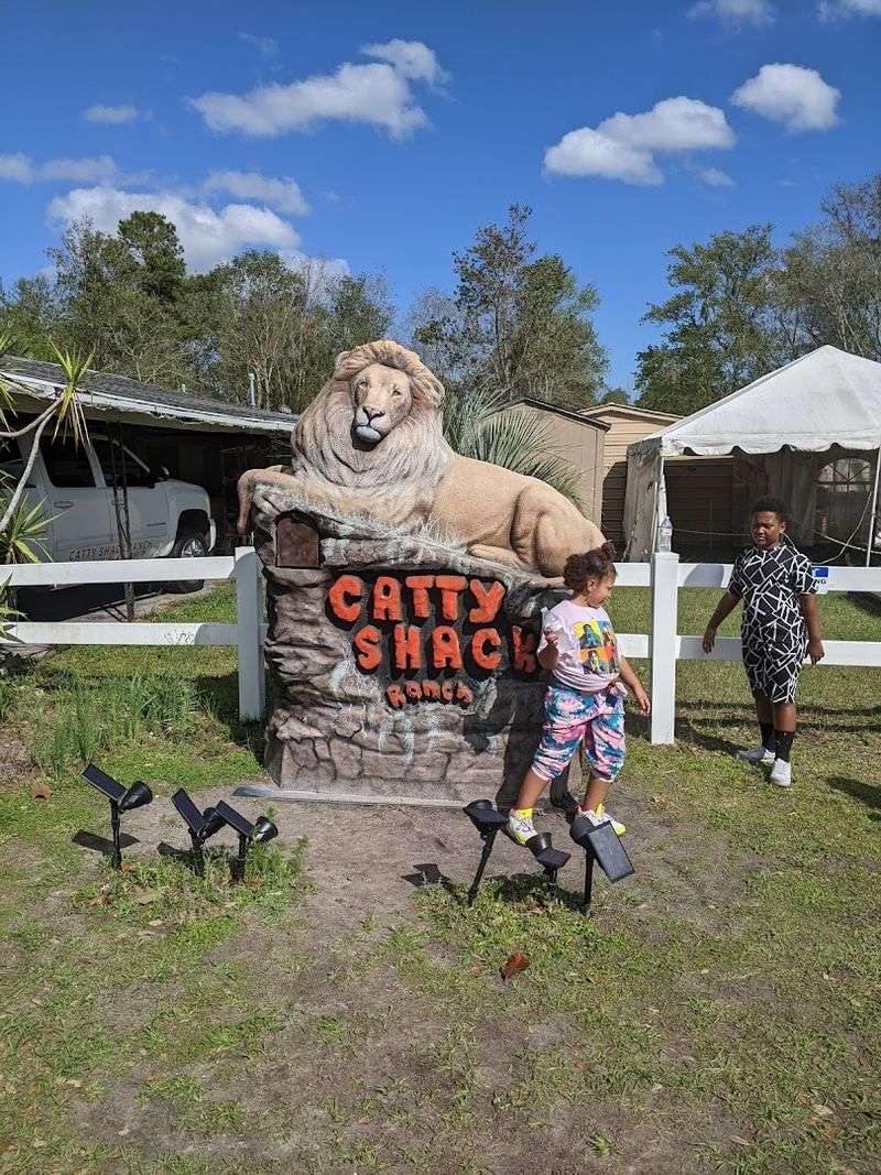 Practical Tips For Planning Your Visit