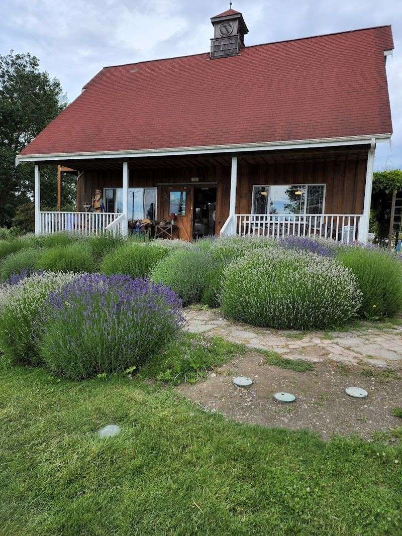 Practical Tips For Planning Your Visit