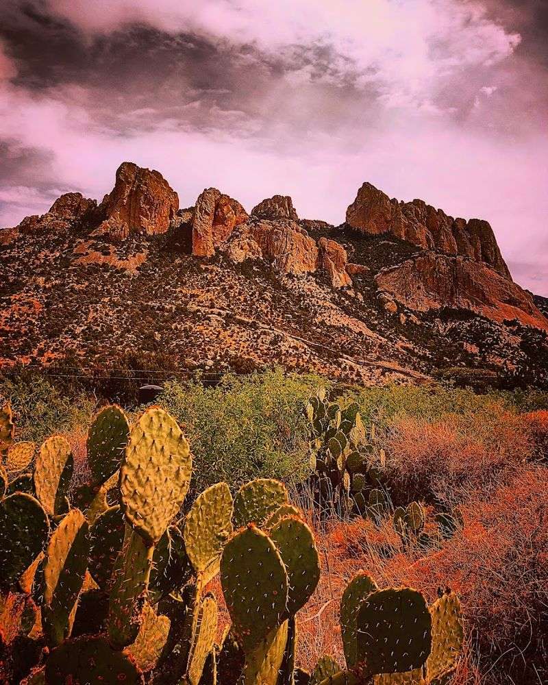 Practical Tips For Visiting Portal, Arizona