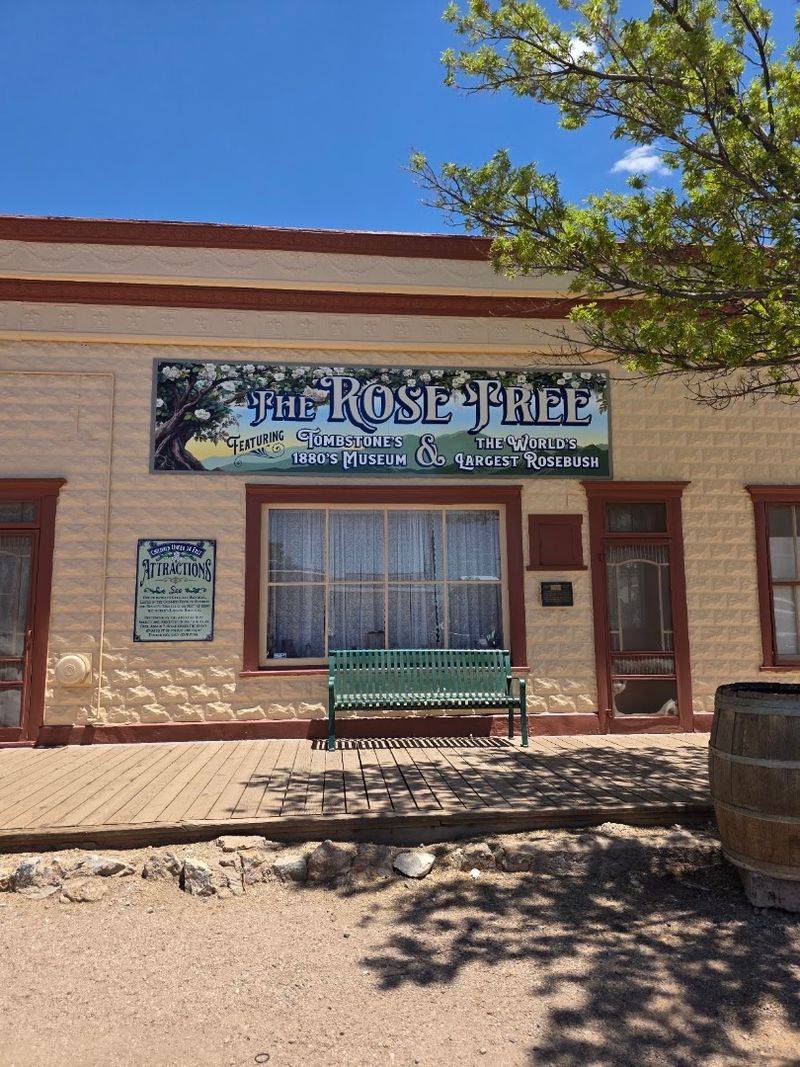 Practical Tips For Visiting The Rose Tree Museum