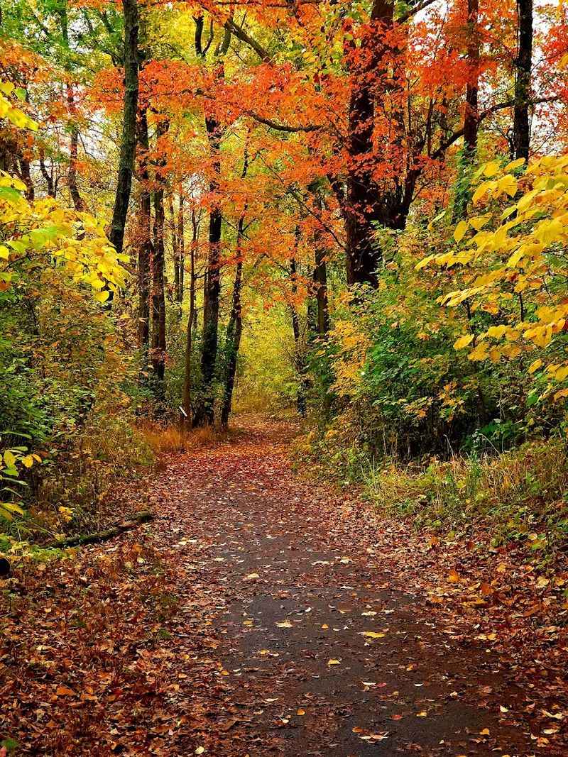 Why This Trail Keeps People Coming Back