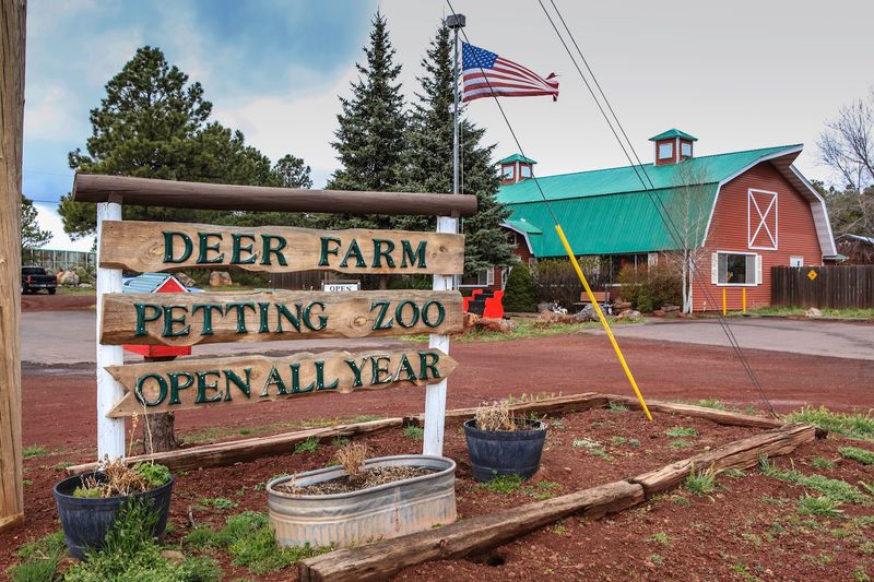 Why This Farm Stays With You