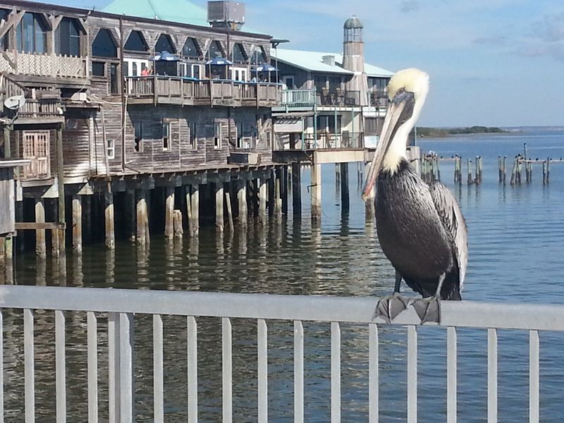 Moments That Make It Memorable