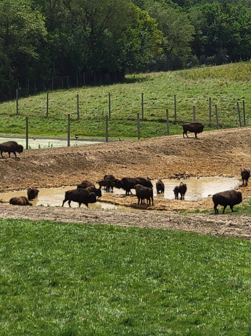 Events, Weddings, And The Magic Of A Prairie Party