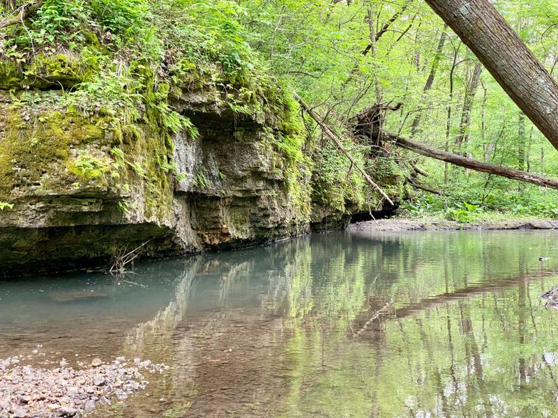 A Sense Of Place You Carry Home