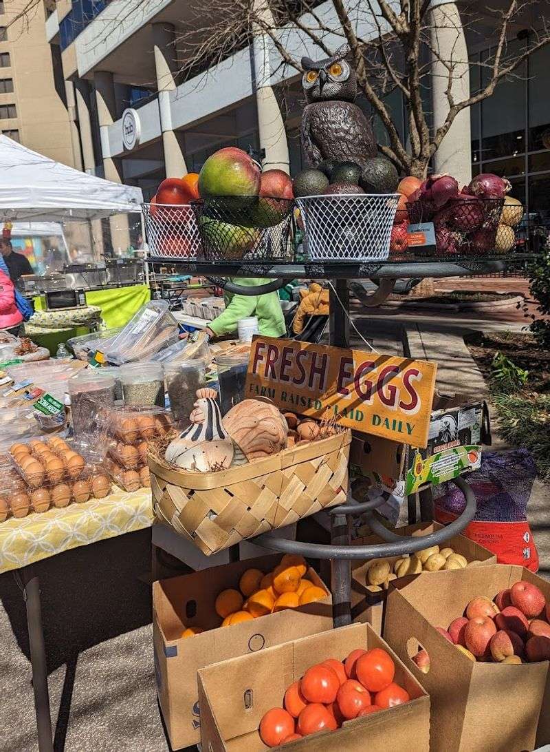 Practical Tips To Make The Most Of Your Saturday Visit