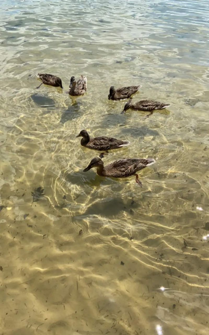 My Stay: What Lake Margrethe Gave Me