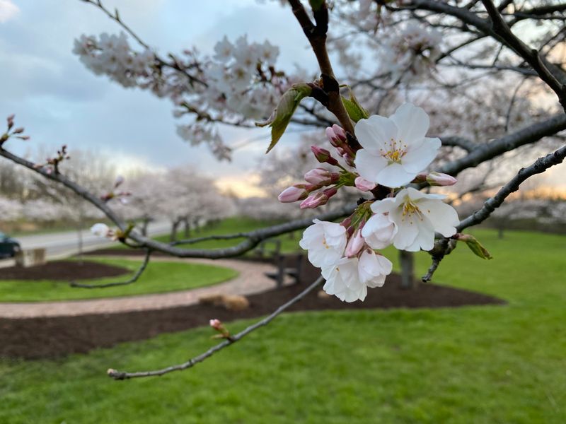 Why This Ohio Park Deserves Your Time
