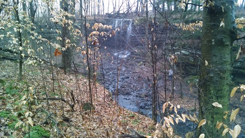 Why This Place Matters