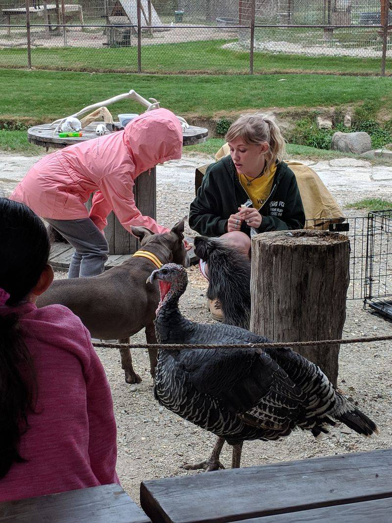 Education That Feels Like A Conversation