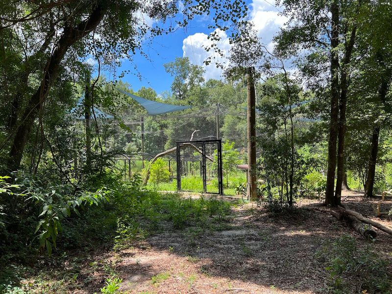 Why This Museum Stands Apart