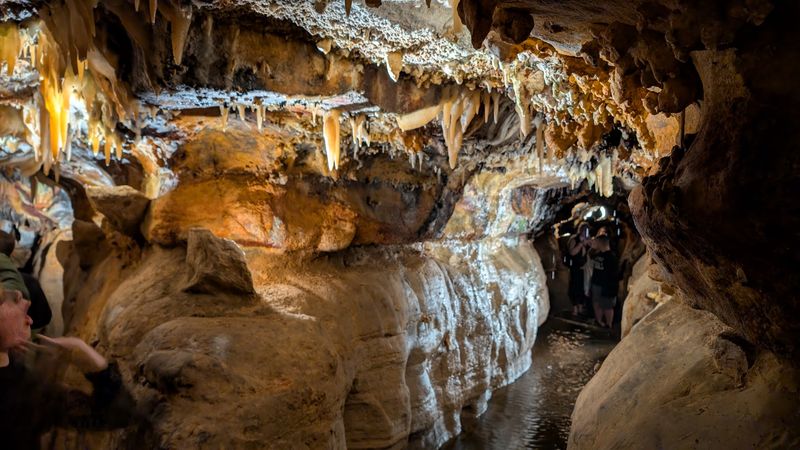Practical Visitor Information and Booking Tips