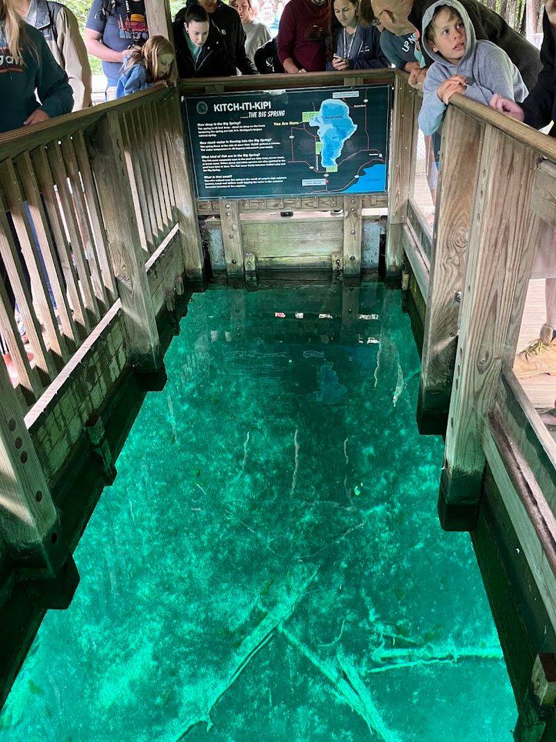 Local Care And Gentle Etiquette