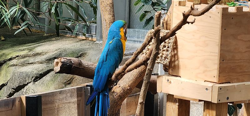 Support Conservation Through Small Choices