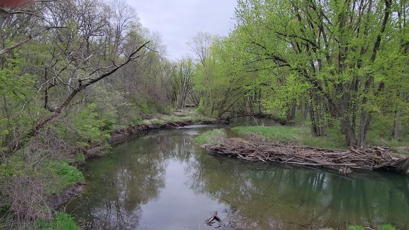 Planning Your Visit To Big Rock Forest Preserve