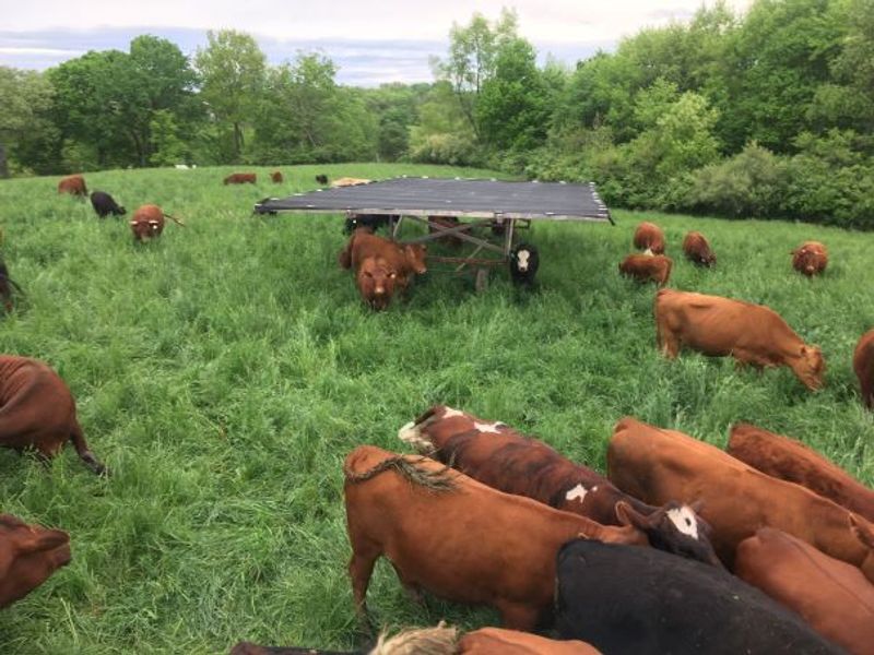 Prairie Creek Pastures