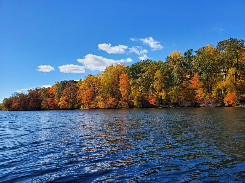 Riverside Quiet Along The St. Joseph