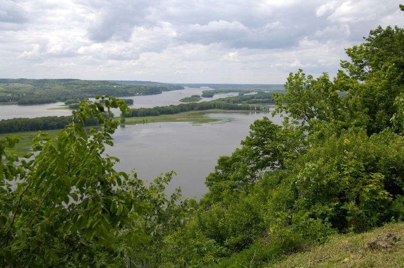 Birdwatching Bonanza
